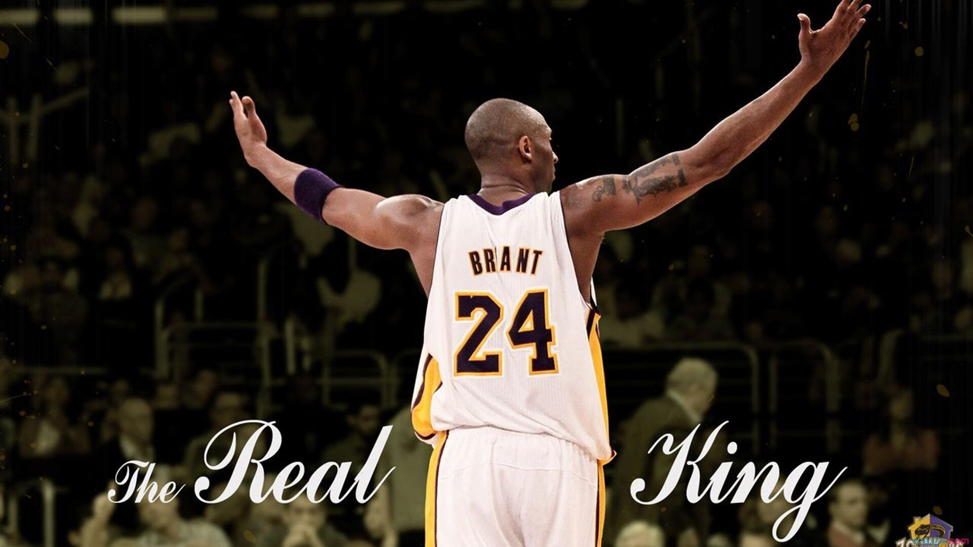 “马科斯·莫奇的精准封堵与强大压迫感,帮助美洲狮队屡次克敌制胜”